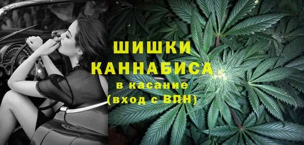 крисы Горно-Алтайск