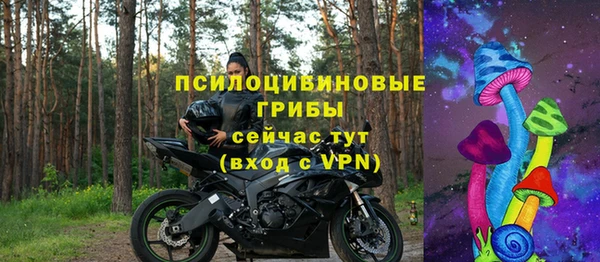 гидропоника Белокуриха